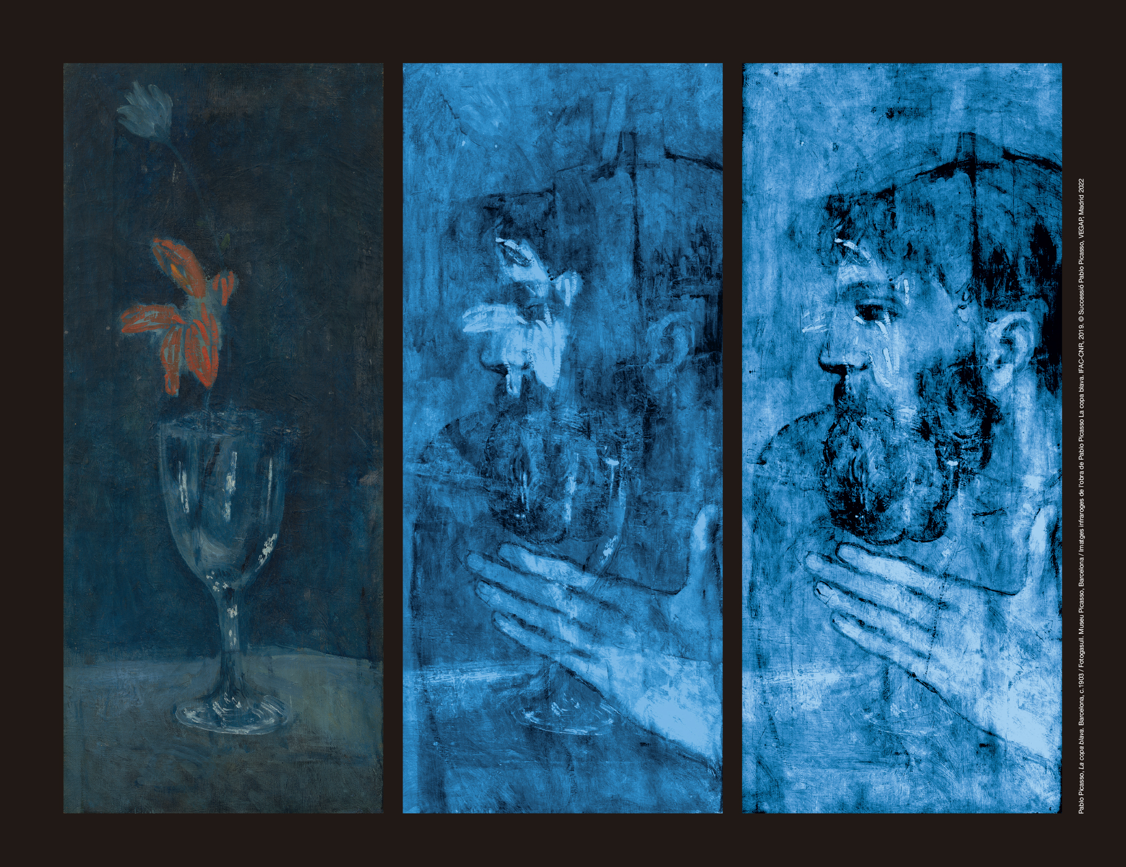 Picasso projecte blau