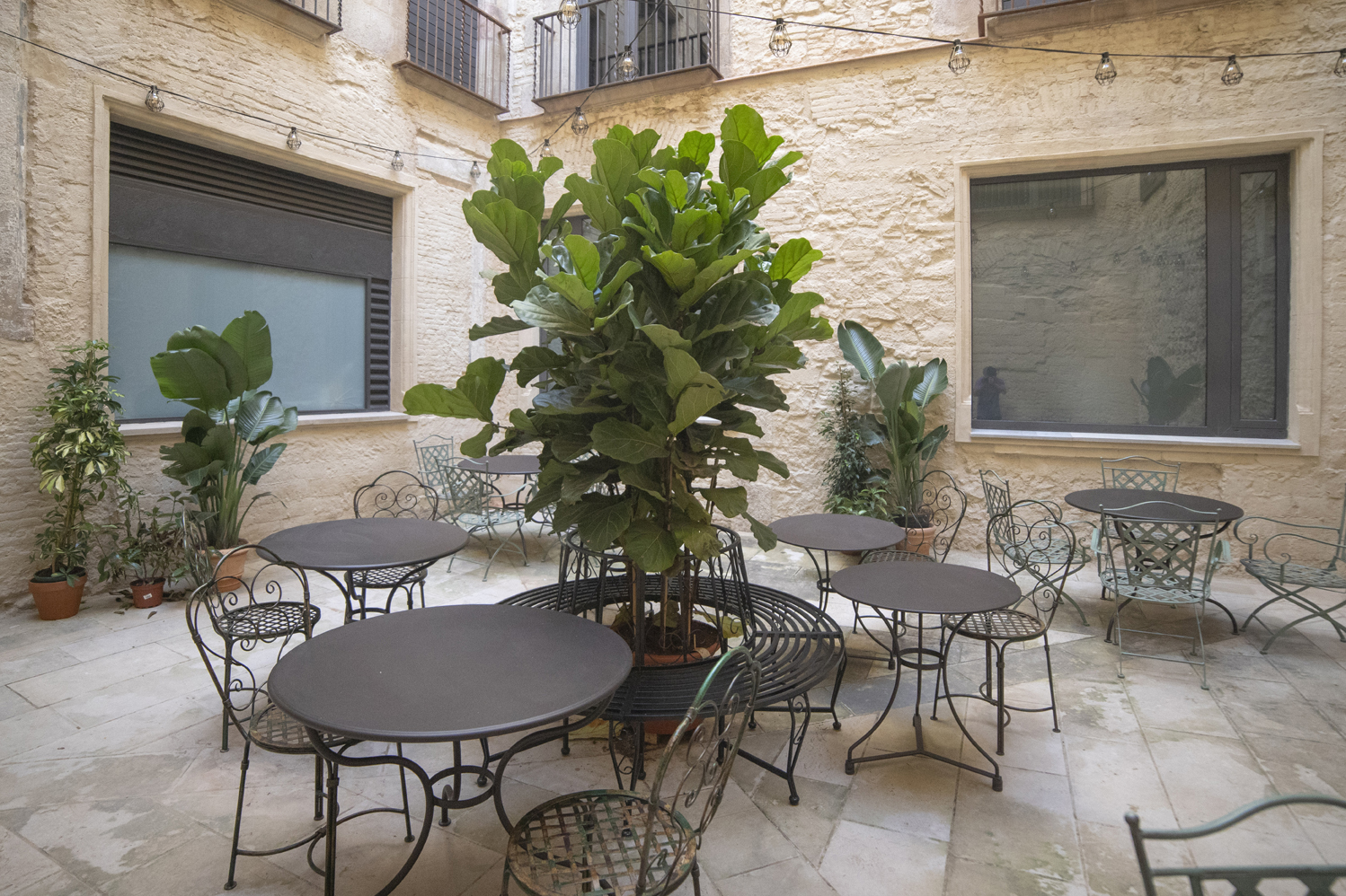 Cafè Pablo Museu Picasso 