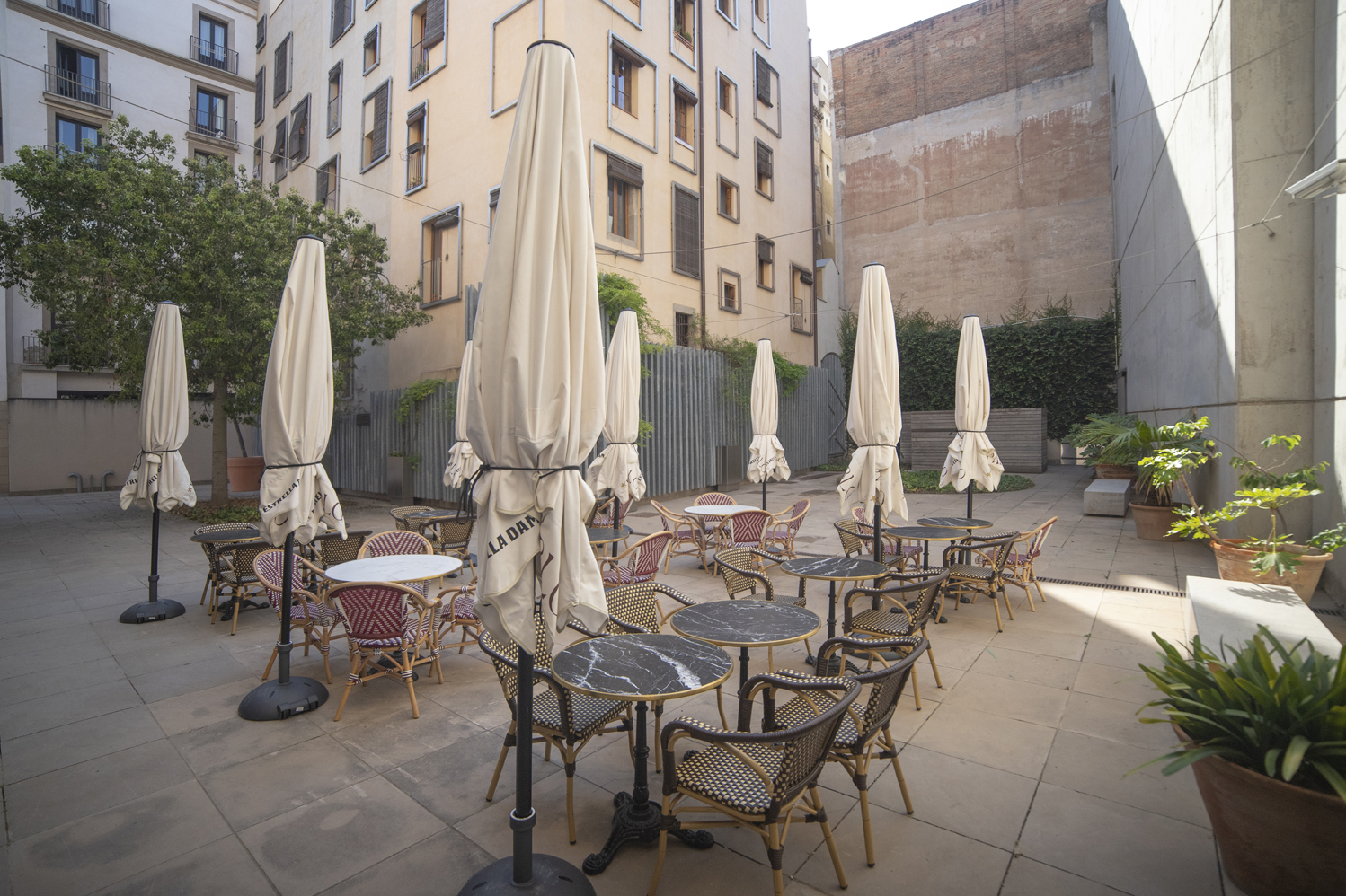 Cafè Pablo Museu Picasso 