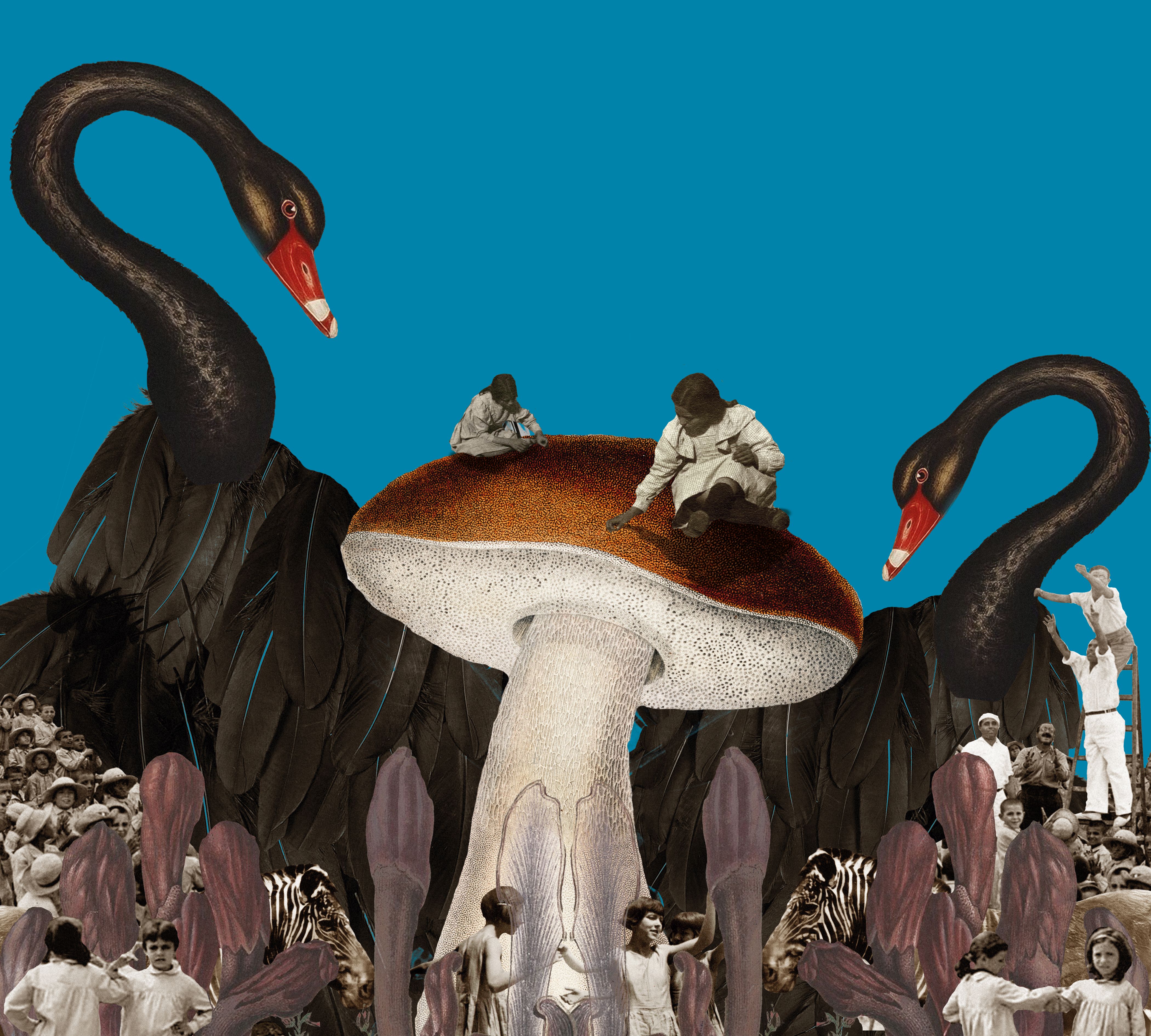 Imatge Simposi Educació