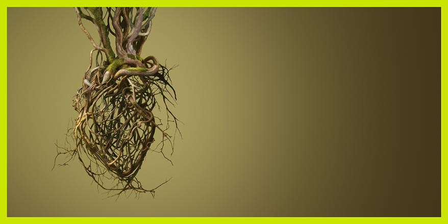 Eposició «Rodoreda, un bosc» al CCCB