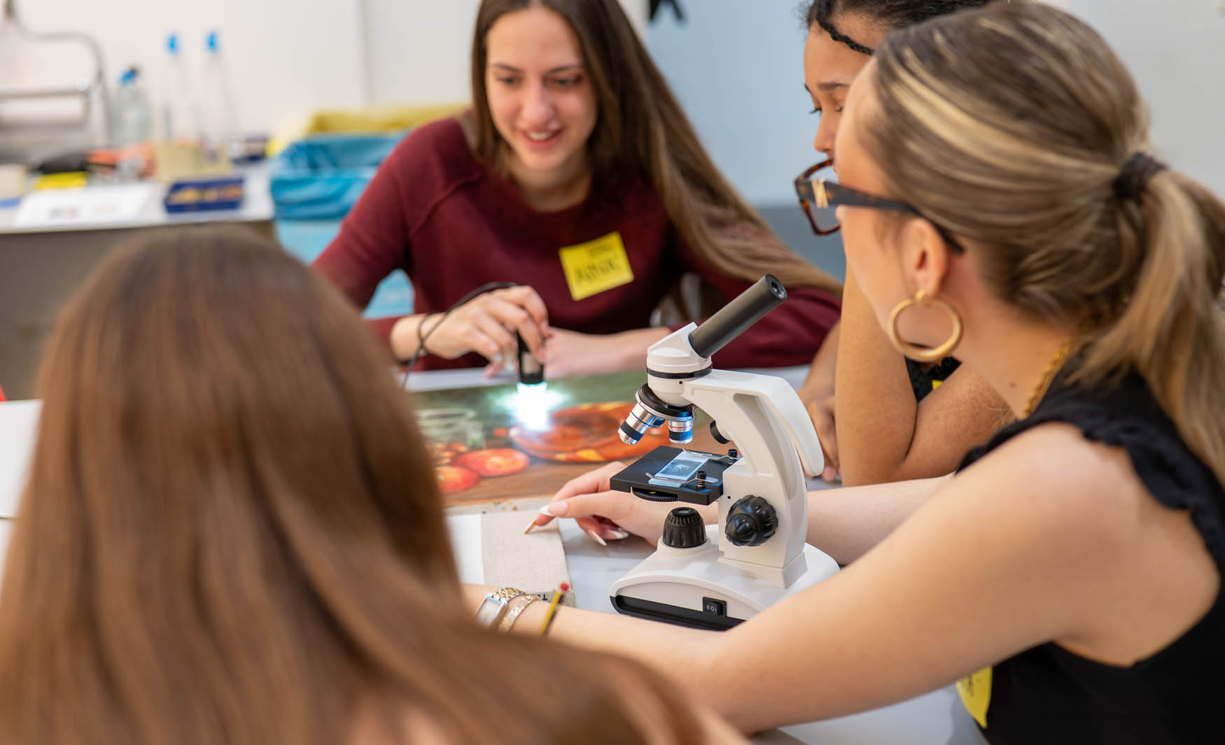 Visita a la Col·lecció i taller  