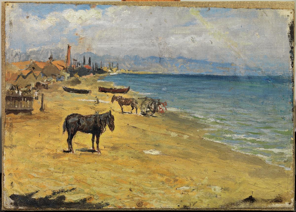  Platja de la Barceloneta 