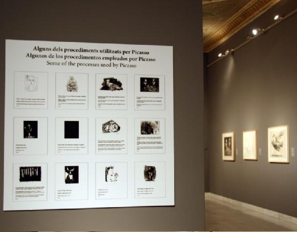 1_imatges_plafo 1_imatges_plafo