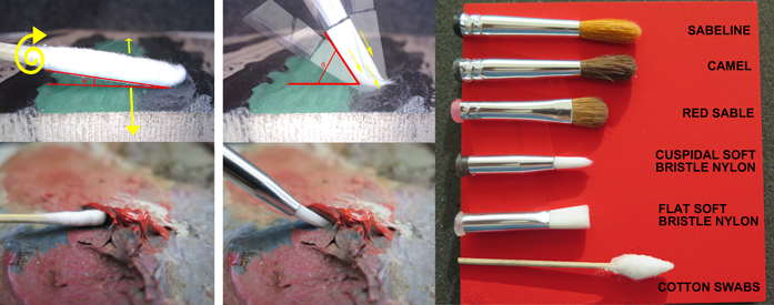 Macintosh HD:Users:pierre-antoineheritier:Documents:photo réduite:PA-HERITIER-Fig.3.2...tif